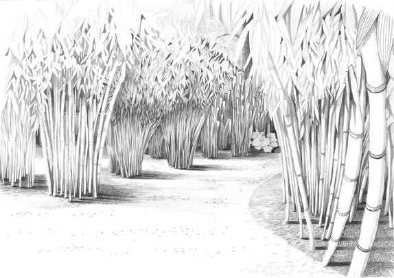 bamboo_pdf_compressed
