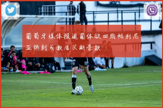 葡萄牙媒体报道葡体欲回购帕利尼亚热刺或激活买断条款
